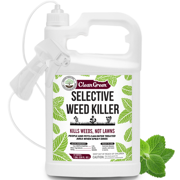 Mighty Mint Selective Weed Killer for Lawns Safe for Grass 128 oz.